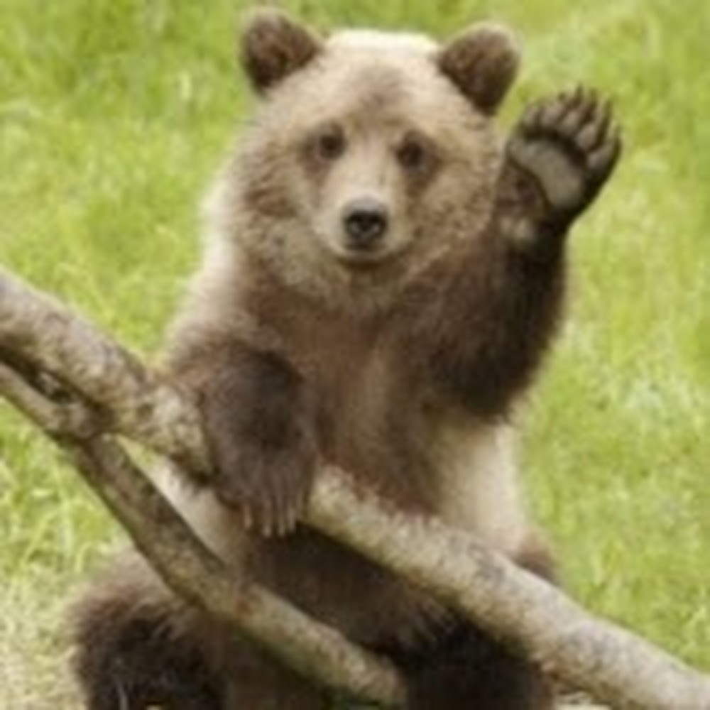 Meet your Posher, Rob